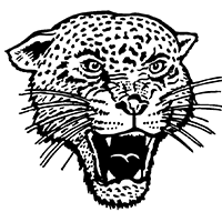 Leopard 310